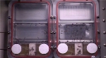 Study of Ants in Microgravity May Help Build Better Searching Robots