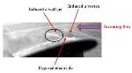Novel Plasma Actuator Suppresses Boundary Layer Separation and Reduces Vibration for UAVs