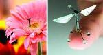 Researchers Take Tips from Nature to Build Next Generation of Flying Robots