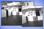 Algorithm Harnessing Data from Neuromorphic Sensor to Render Autonomous Robots More Nimble