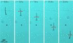 Oscillating Magnetic Fields Control Sperm-Inspired Microrobots
