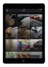 Savant Releases New App for Home Automation Control