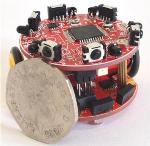 Autonomous Micro-Robot Swarm Replicates Behaviour of Honeybees
