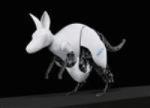 Festo Showcases BionicKangaroo at International Press Conference 2014