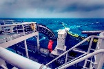 Robots with Machine Vision Classify Fishing Catches Accurately