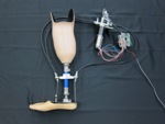 Eyes for Robotic Ankle