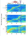 Variable Used in Robot Learning Found in Rat's Brain
