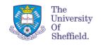The University of Sheffield Professor Addresses Parliamentary Symposium on Implications of Robots Caring for Elderly