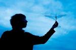 Flapping Robot Morphs Wings to Manage Mid-Air Collisions