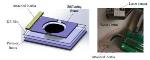 New Phenomenon Makes Dielectric Elastomer Joint Promising for Flapping Wing of Robotic Birds