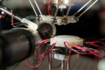 Innovative Robot Picks Up Flies and Keeps Them Alive