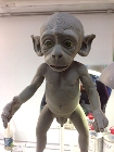 Spanish Robot That Could Establish Visual and Linguistic Interaction with Human Interlocutor