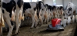Lely Celebrates 10th Anniversary of Lely Discovery Mobile Barn Cleaner