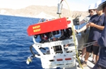 Researchers Successfully Perform Deep-Sea Collection of Fragile Biological Specimens Using Soft Robotic Grippers