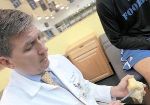 UCLA Researchers Use Robotic Testing System to Study ACL Injuries