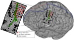 Researchers Demonstrate Mind-Controlled Artificial Arm Capable of Moving Fingers Individually