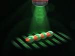 Researchers Build Ciliate-Inspired Microrobot Using Liquid-Crystal Elastomers