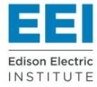 Edison Electric Institute Sponsors Student Teams Participating in FIRST Robotics and FIRST Tech Initiatives