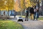 Sam M. Walton College of Business Seeks Interns to Assist with Robotics Research Project