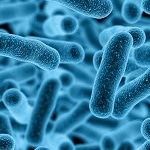 Guthrie Announces Arrival of Xenex Germ-Zapping Robots to Disinfect Operating Rooms
