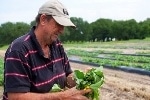 Scientists Develop Robotic Grafting System for Plants