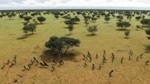High-Resolution Camera Drones Combine Human Crowdsourcing and Machine Learning to Interpret Aerial Images