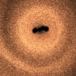 New Discovery Helps Scientists Understand Interaction of Microswimmers