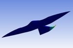 In-Depth Analysis of Bird Flight Could Help Develop Unmanned Aircraft with Shapeshifting Wings