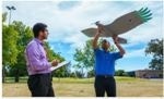 Researchers Build More-Efficient Drone by Exploiting Updrafts