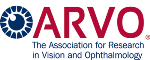 Scientists Successfully Implant Prosthesis to Restore Central Vision in AMD Patients