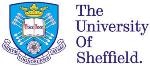 Bee Model Developed by University of Sheffield Could Help Advance Autonomous Robots