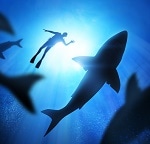 Drone-Detection Method Could Help Detect Sharks in Coastal Waterways