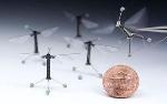 NSF-Supported Project Aims to Create Autonomous Robotic Insects Capable of Independent Flight