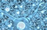 Researcher Reveals Hierarchical Structure Could Improve Attempts to Create Artificial Intelligence