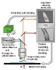 Machine-Vision Robot Measures Nerve Cell Activity in Freely Moving Animal