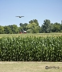 Sentera Sensors Officially Capture over 25 Million Acres of Images