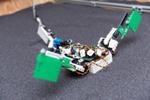 Experts Use Robot, Mathematical Models to Explore Evolutionary Leap