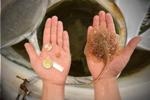 Researchers Build Robotic Mimic of Stingray, Powered and Guided by Light-Sensitive Rat Heart Cells