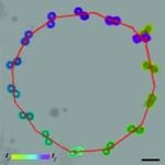 New Fabrication Method for Swimming Microrobots Utilizes Minimum Geometric Requirements for Fluid Motion
