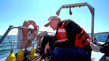 UC Davis Scientists Deploy Microscopic Marine Larvae Robots into Pacific Ocean near San Francisco