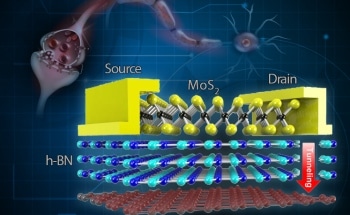 Scientists Develop Brain-Inspired Memory Device for Wearable Electronics