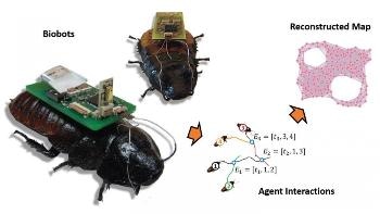 New Technology Uses UAVs and Insect Biobots to Map Disaster Areas