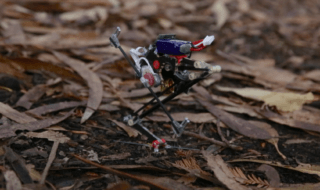 Roboticists Build Most Vertically Agile Robot