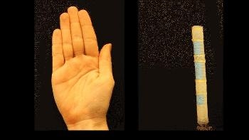 Soft Actuator Makes it Easier to Design Robots That Mimic Biological Movements