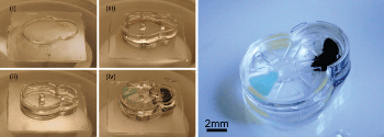 Newly Developed iMEMS Device Revolutionizes Drug Delivery