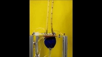 Customizable Soft Robotic Sleeve Could Open Door to New Treatment Options for Heart Failure
