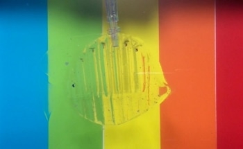 MIT Builds Transparent, Gel-Based Robots Capable of Evading Underwater Detection