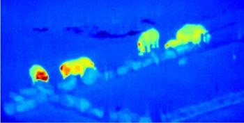 Astrophysics-Ecology Drone Project Could Help Save Endangered Species