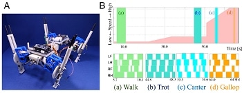 Quadruped Robot Could Spontaneously Change Steps Between Energy-Efficient Patterns