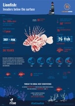 RISE Develops Undersea Robot to Slowdown Destruction Caused by Lionfish